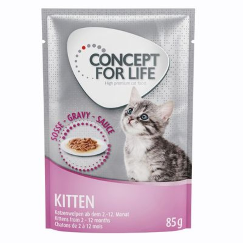 Concept for Life Kitten  in Gravy