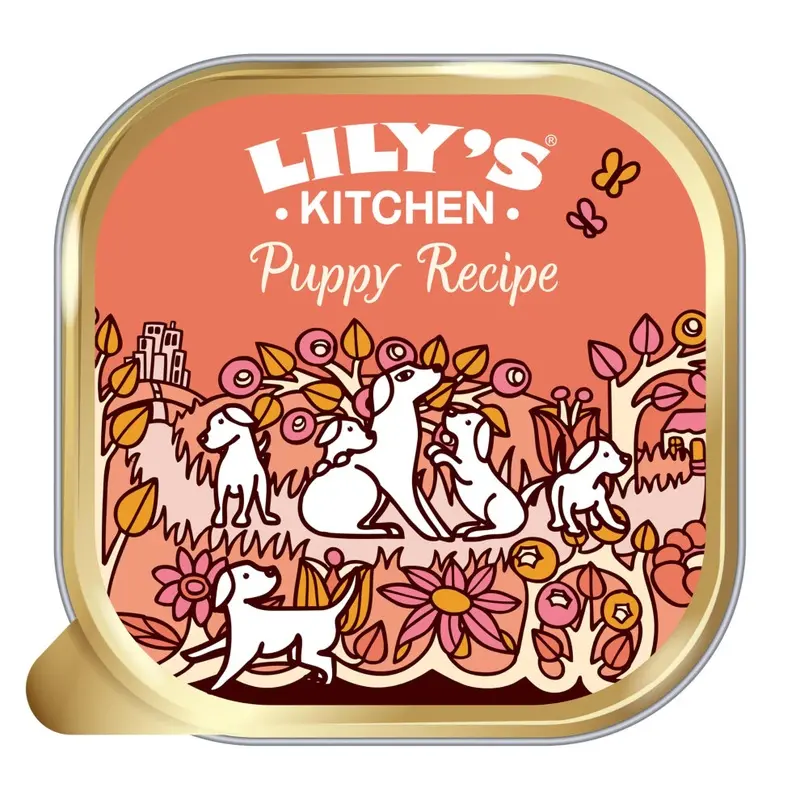 New Lilys Kitchen - Complete Natural Adult Dog Food Wet (10 X 150G Trays) 91978 Size 10