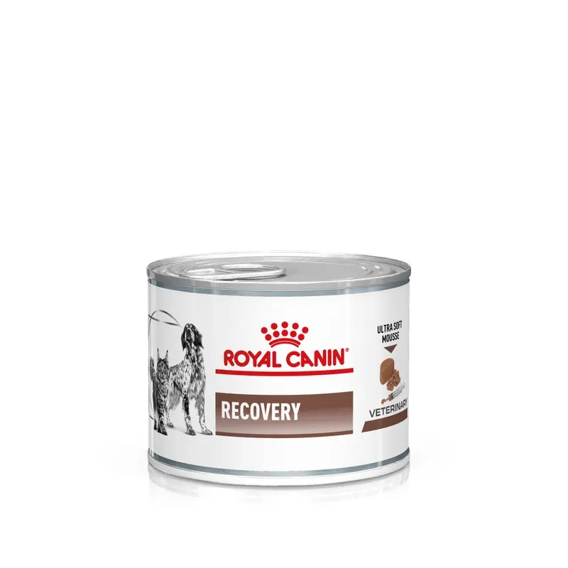 Royal Canin Veterinary Diet Royal Canin Veterinary Dog & Cat  Recovery Mousse - 12 X 195G