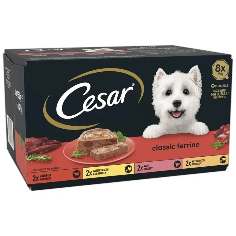 Cesar Classicterrine Dog Food Wet - Mixed Selection In Jelly, 8X150g (Pack Of 3) Size 3