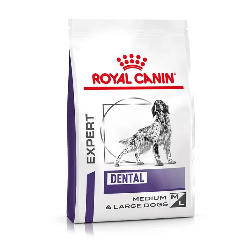 Royal Canin Expert Dental Dry Dog Food 6Kg