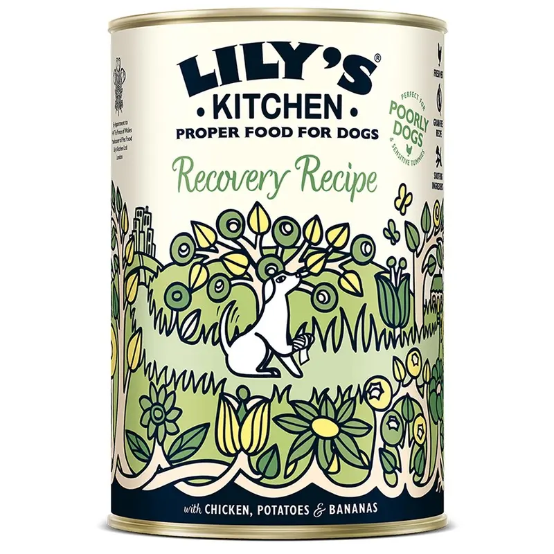 Lilys Kitchen Wet Adult Dog Food Recovery Recipe 400G Can