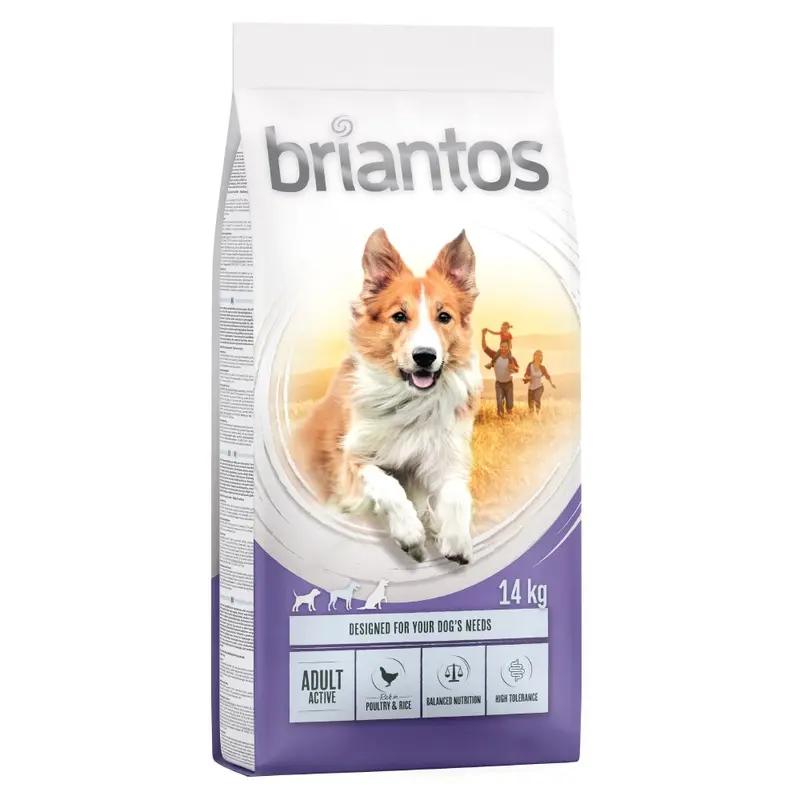 Briantos Adult Active - 14Kg