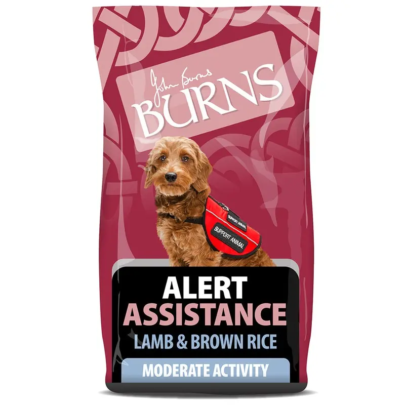 Burns Brown Alert Lamb & Rice 2Kg