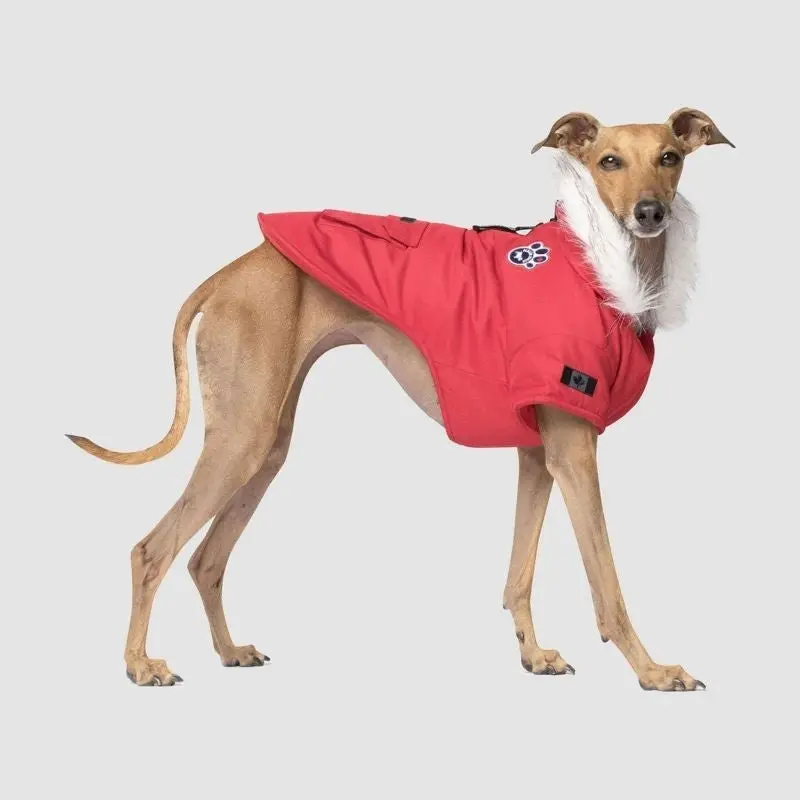 Canada Pooch Winter Wilderness Red Dog Parka