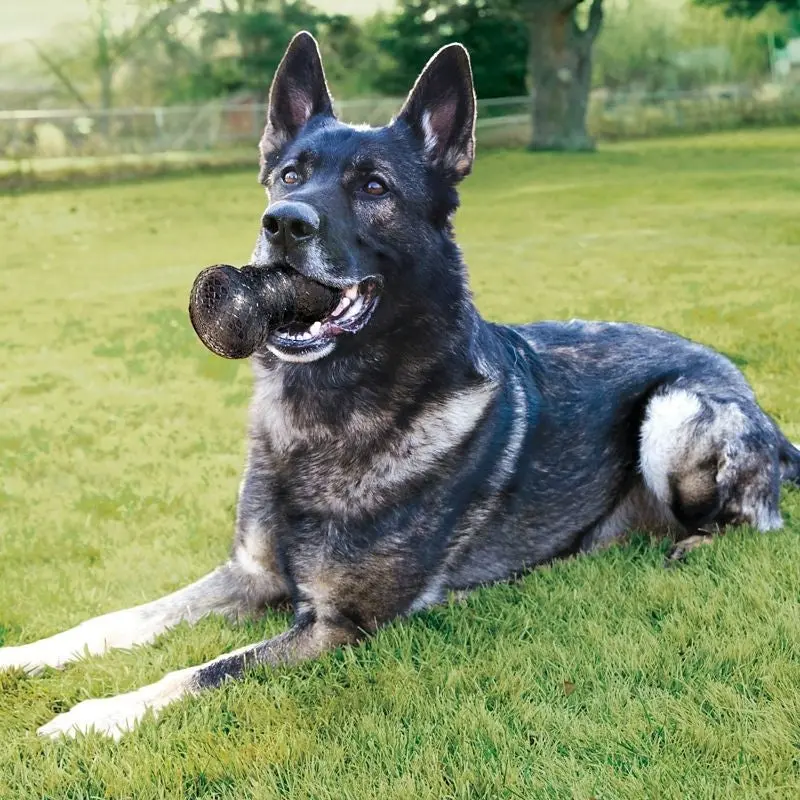 KONG Duramax Dumbbell Dog Toy
