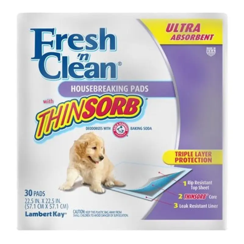 Cloud Star Grain Free Buddy Dog Treat