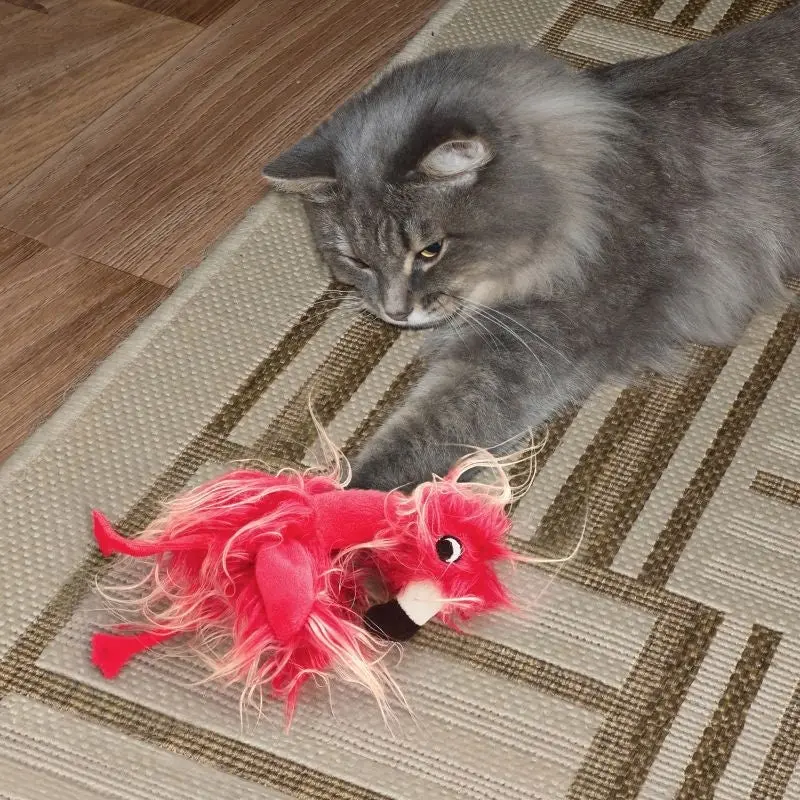 KONG Softies Frizz Bird Assorted Cat Toy