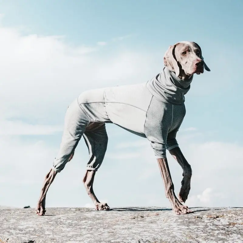 Hurtta Carbon Grey Dog Body Warmer