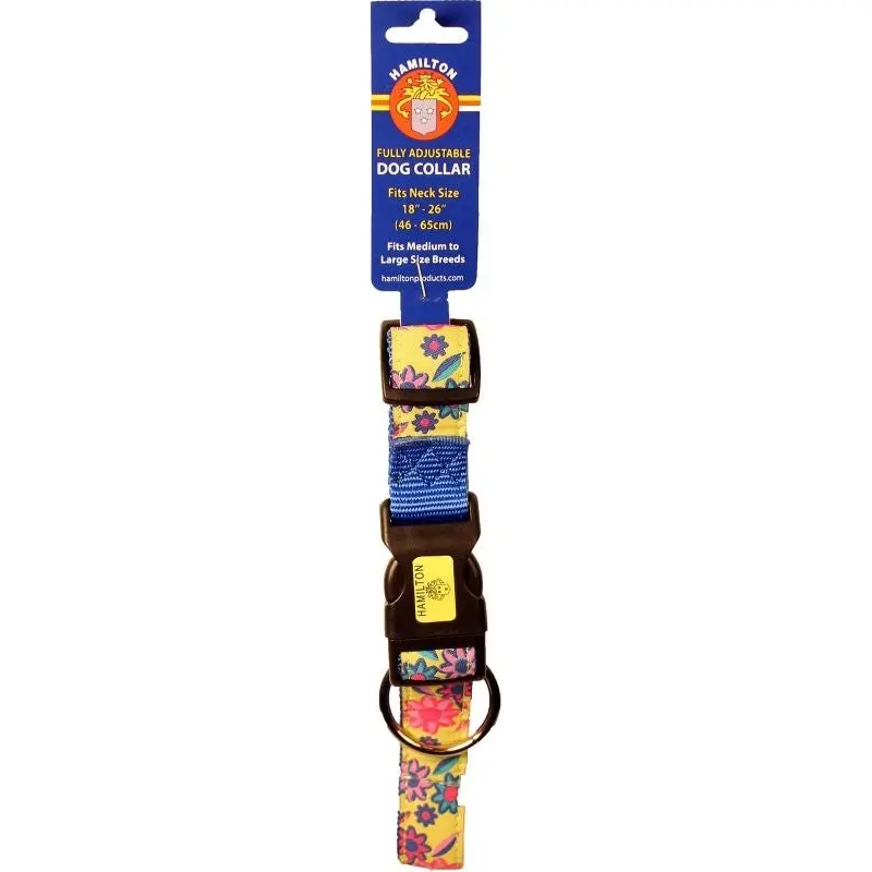 Ribbon Overlay Adj Dog Collar 1x18-26 Lime Floral