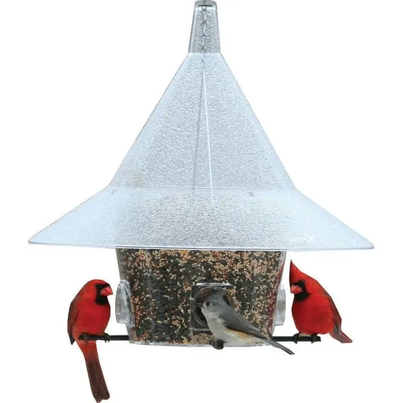 Arundale Mandarin Bird Feeder
