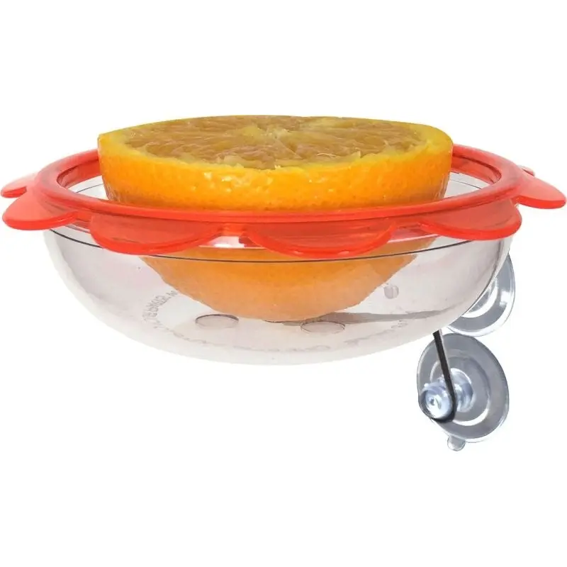 Bos Marmalade Window Oriole Feeder 5 Clear/Orange
