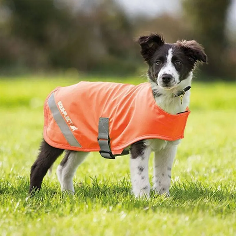 Shires Equi-Flector Dog Coat