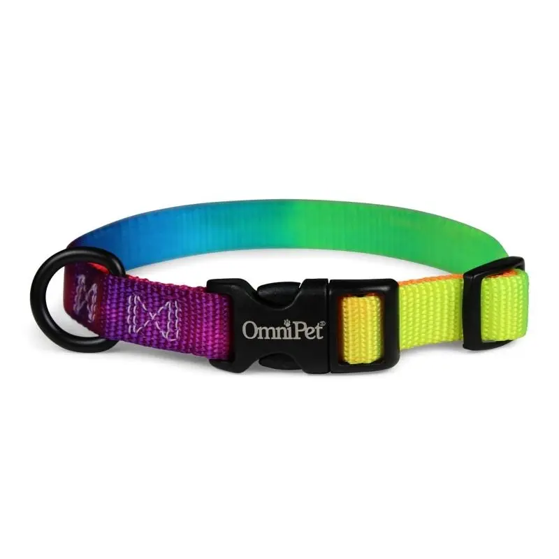 Kwik Klip Nylon Rainbow Dog Collar