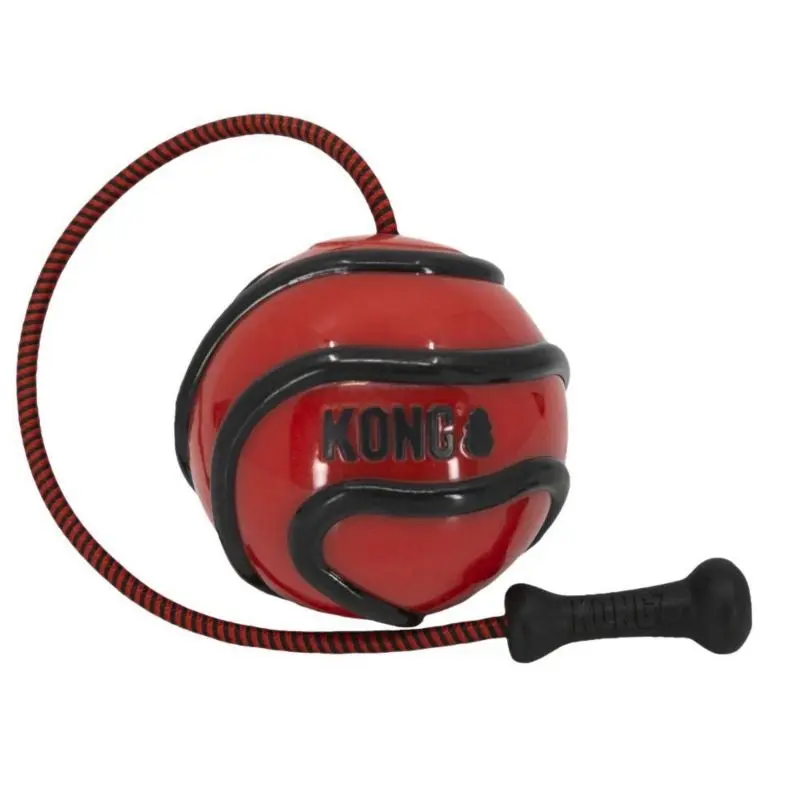 KONG Wavz Bunjiball Assorted Dog Toy