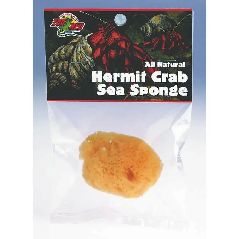 Sea Sponge For Hermit Crabs 0.75 x 1 x 0.25 Yellow