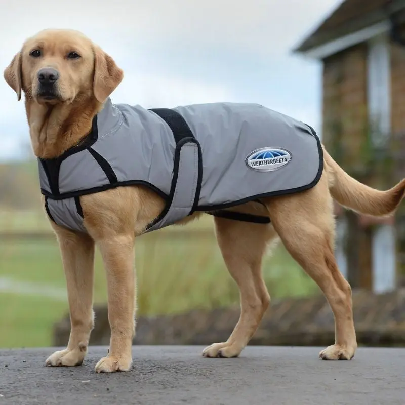 WB CFT Reflective Dog Coat Med