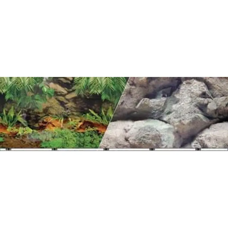 Blue Ribbon Rainforest Aquarium Background