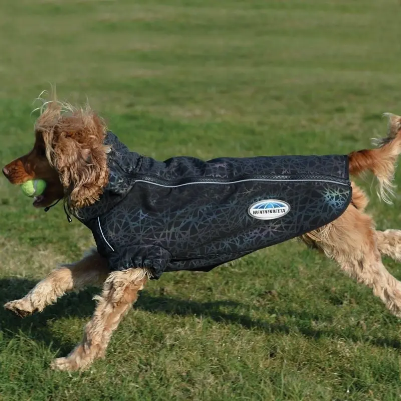WB CFT Reflective Print Active Dog Coat