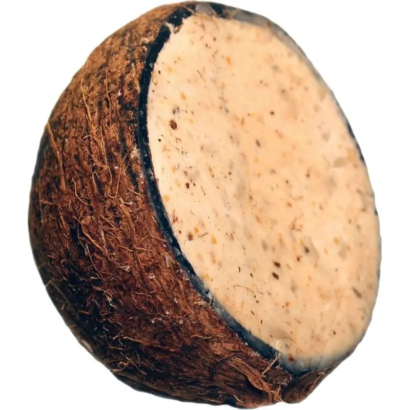 Suet To Go Mealworm 10oz Peanut/Coconut