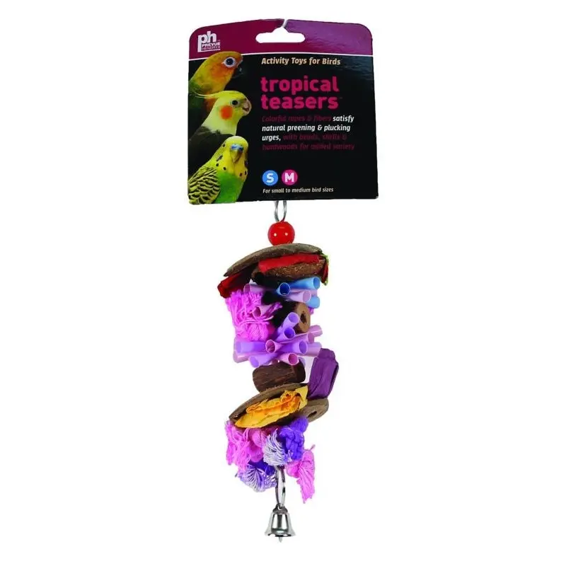 Tropical Teasers Party Time Bird Toy