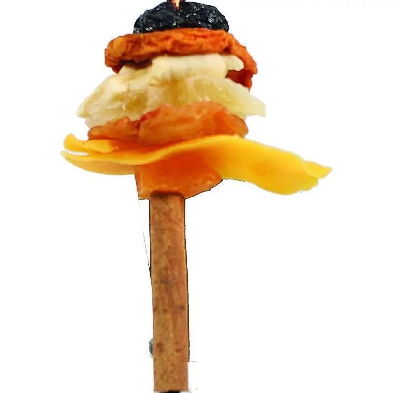 Happy Beaks Dried Fruit / Cin Skewer Bird Toy S