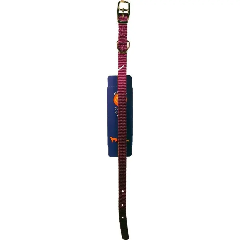 Nylon Dog Collar 3/8x12 Purple