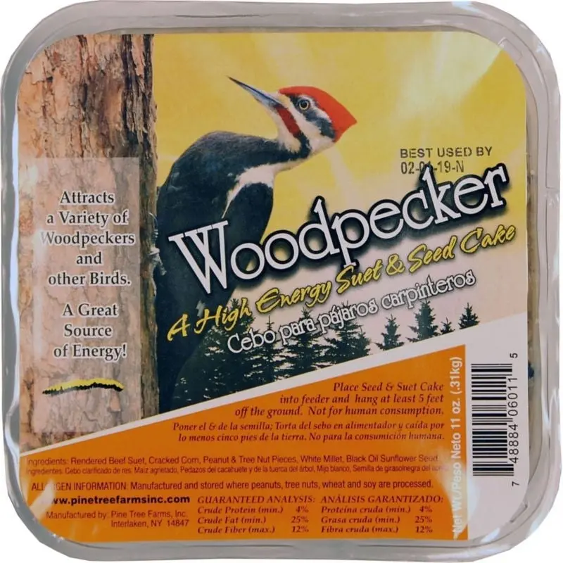 Pine Tree Birdwatchers Best Suet Cake Woodpecker