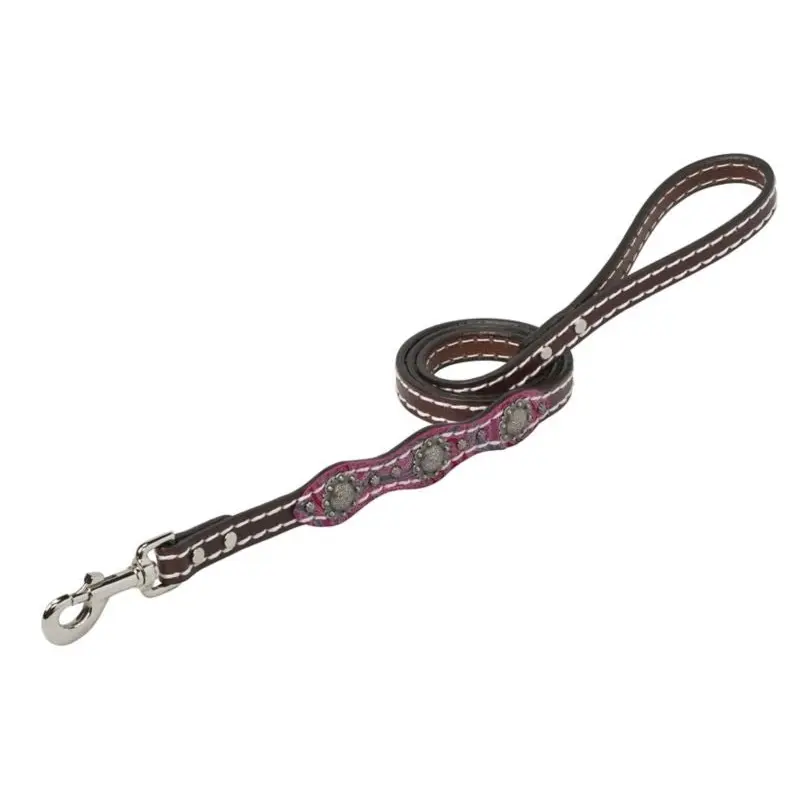 Weaver Vintage Paisley Leash