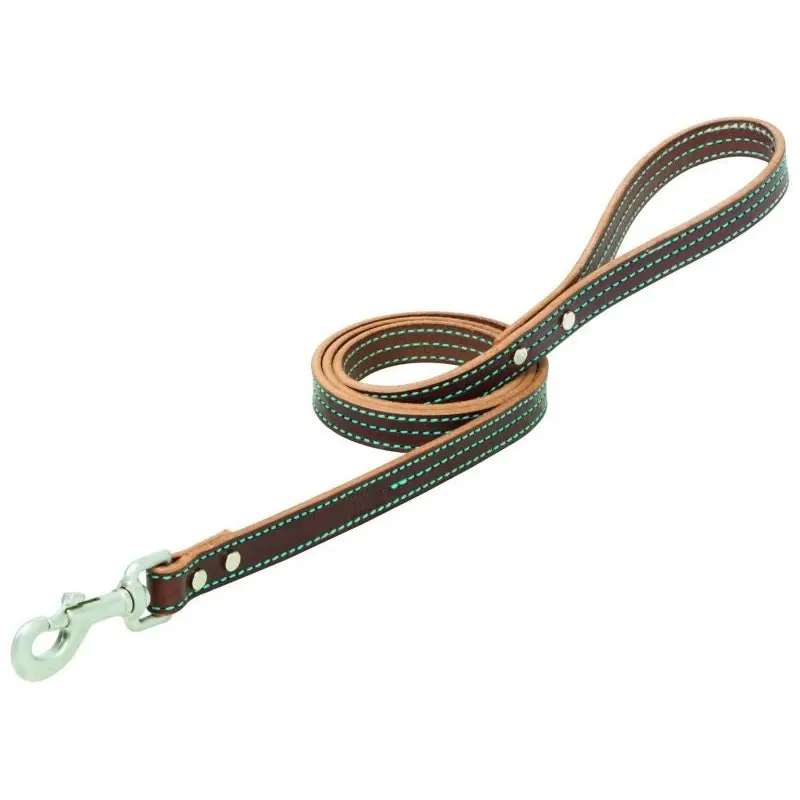 Weaver Terrain Dog Straight Leash
