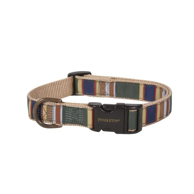 Pendleton Hiker Badlands Dog Collar