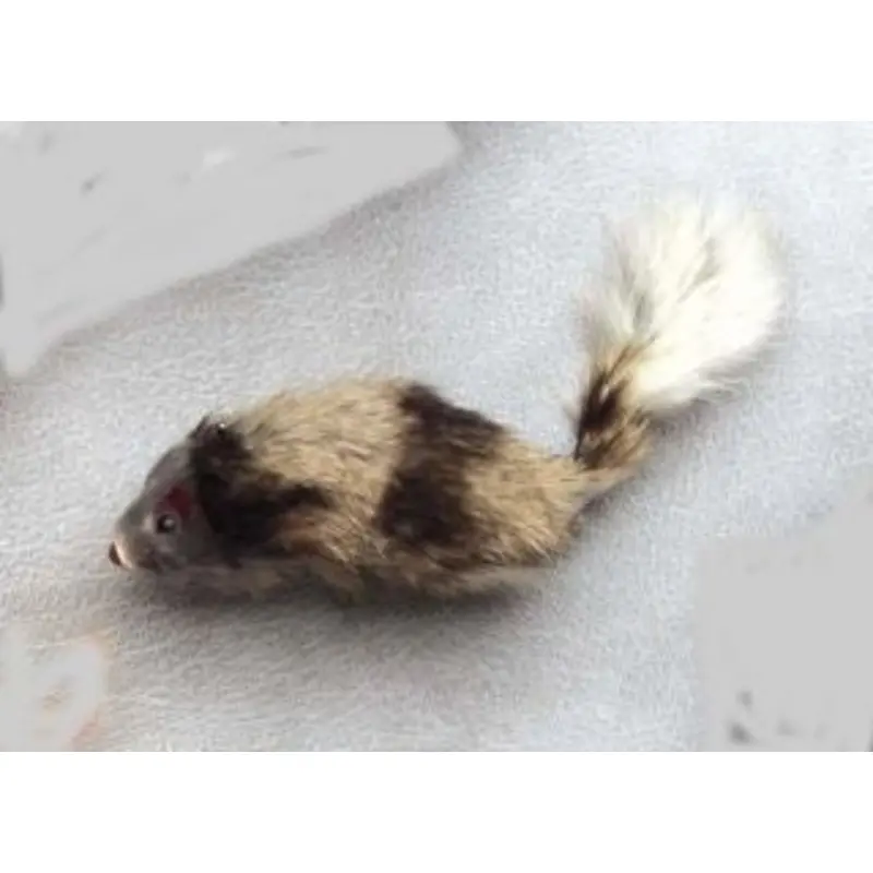 ADoorAble Real Fur Mouse 4x1x4.5 Brown