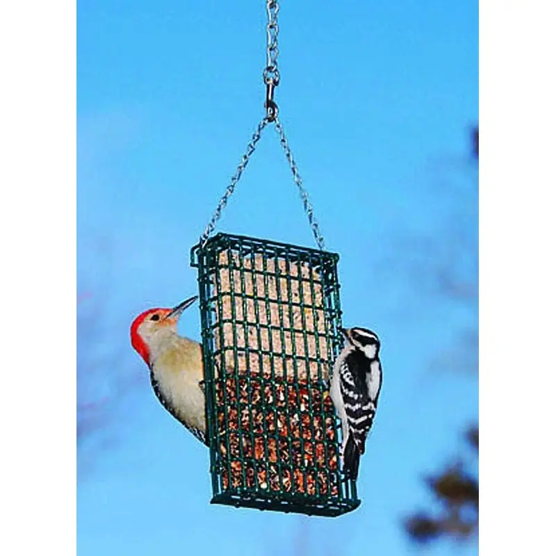 Droll Yankee Double Suet Cake Feeder