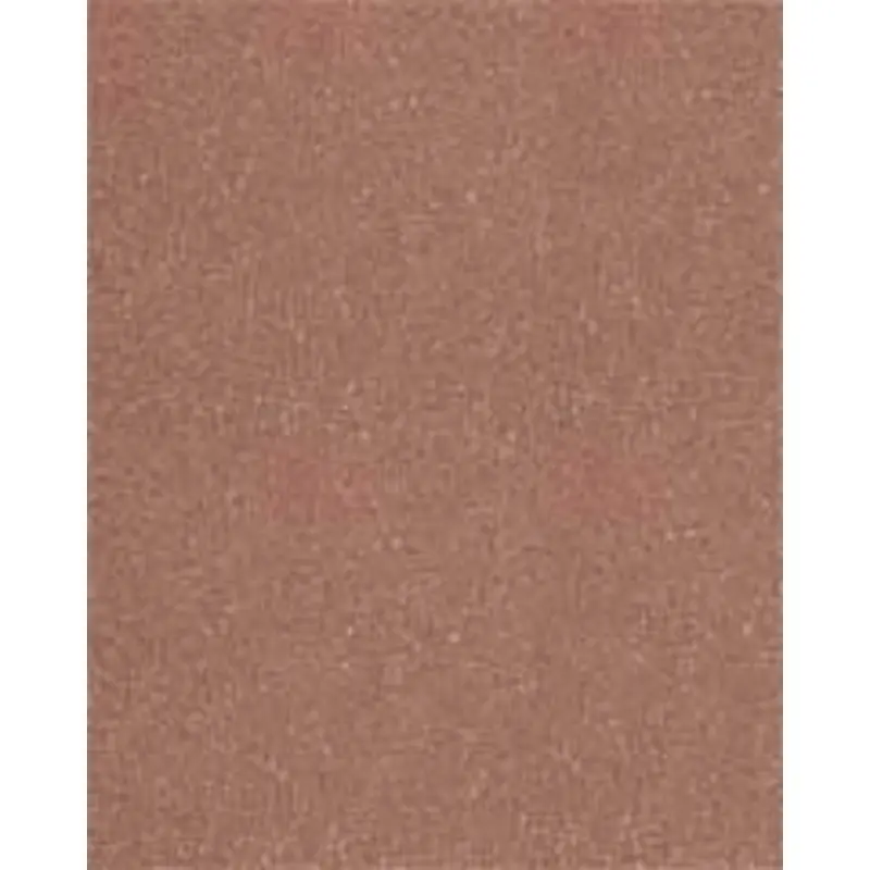 Sand For Desert Dwelling Reptiles 14 x 10 x 2