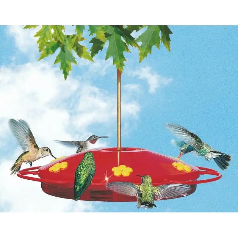 Hummingbird Oasis Feeder 12x4x16 Red
