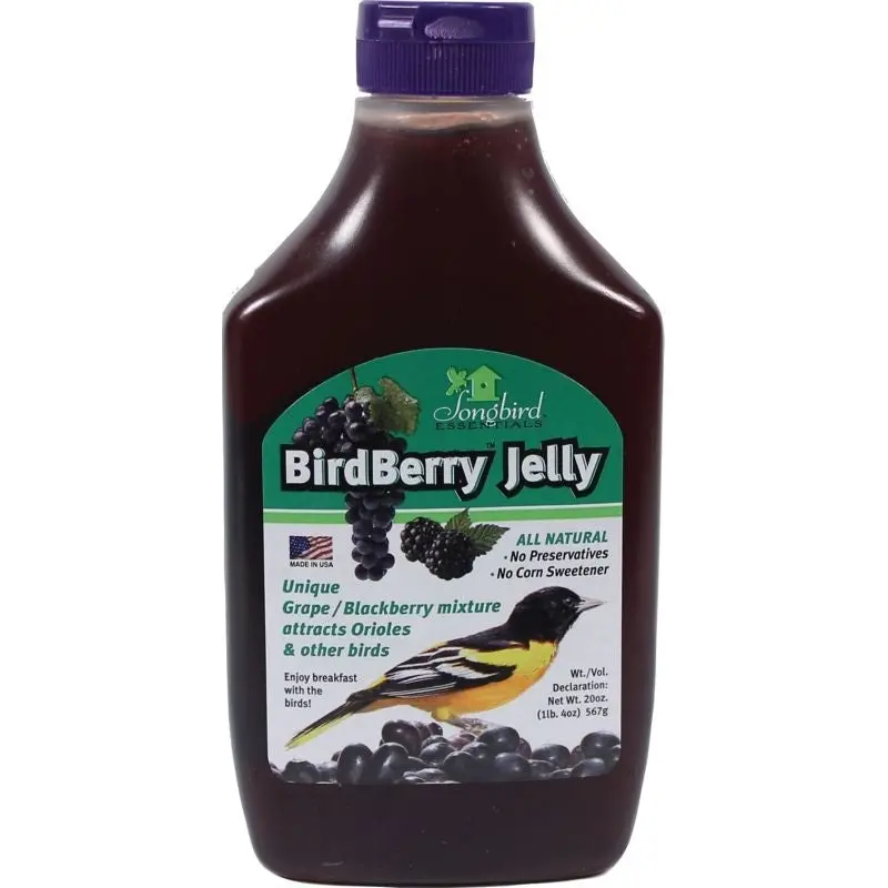 Birdberry Jelly 20oz Grape/Blackberry
