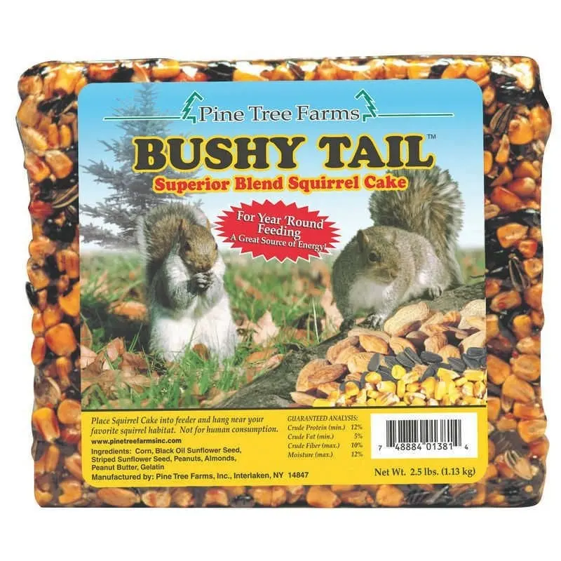 Pine Tree Farms Bushy Tail Squirrel Cake 2.5lb