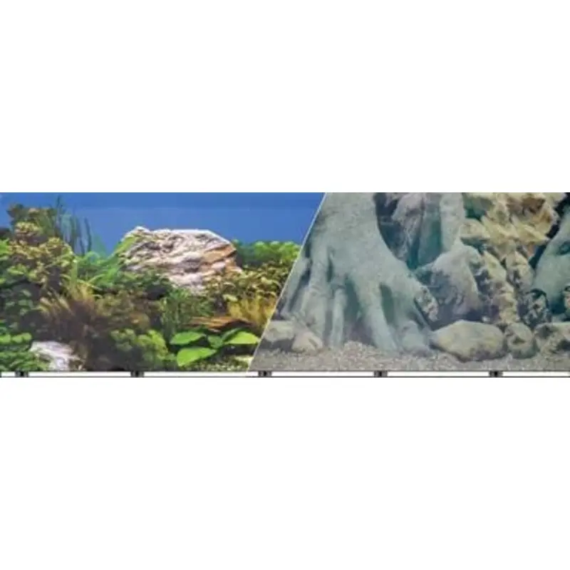 Blue Ribbon White Rock Aquarium Background