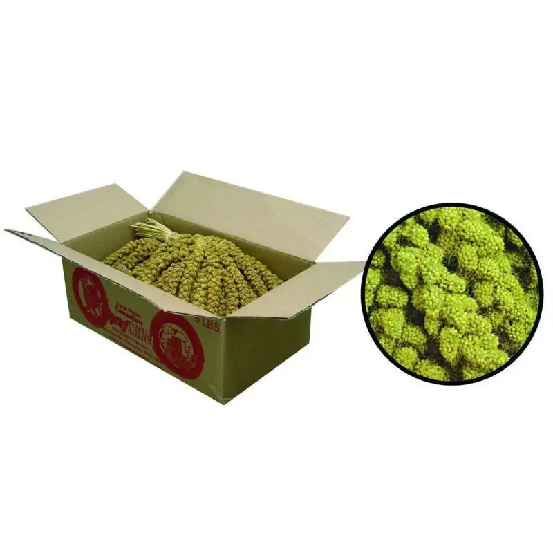 FM Browns Golden Millet Spray Bird Treat