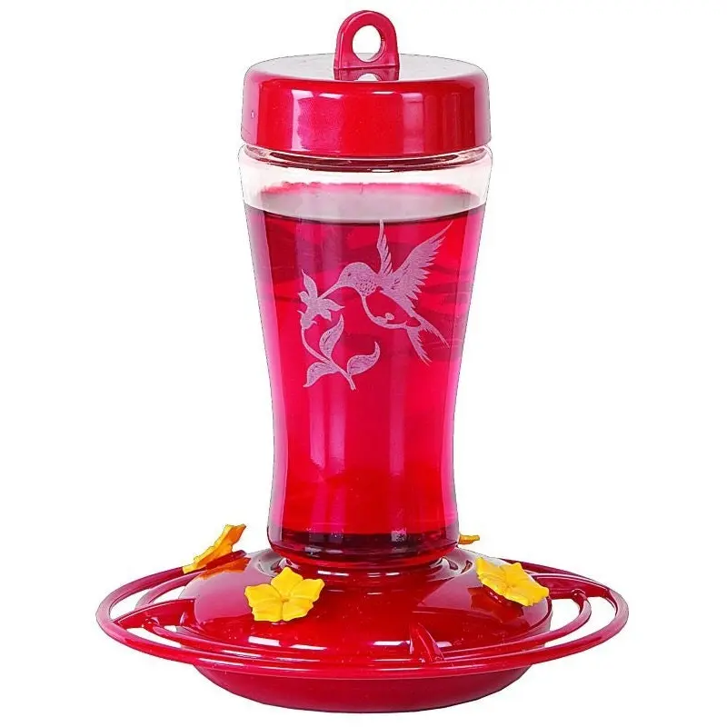 Glass Hummingbird Feeder 12 oz Steel