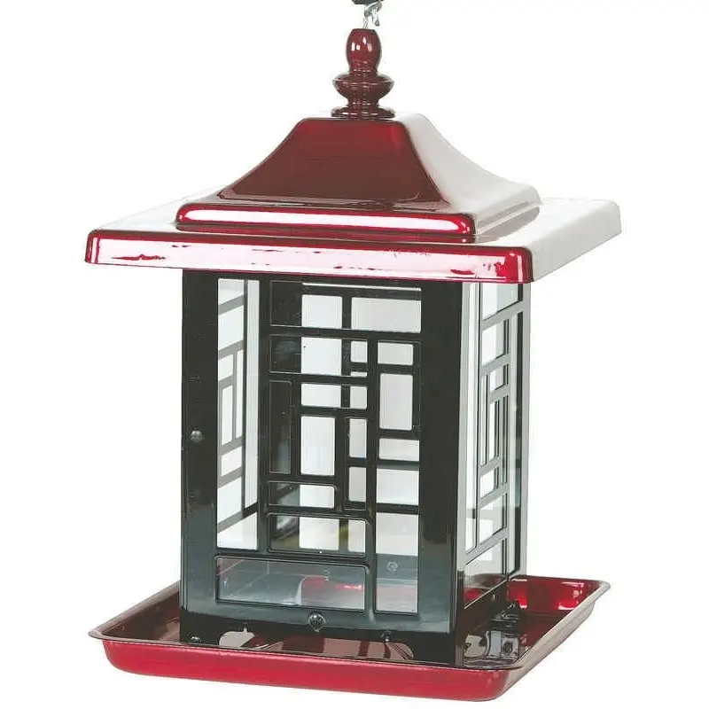 Homestead 5.5 lbs Mosaic Feeder