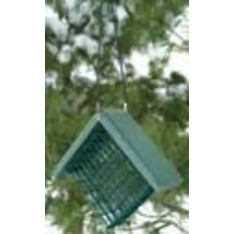 Go Green Suet Feeder 7x3x6 Green