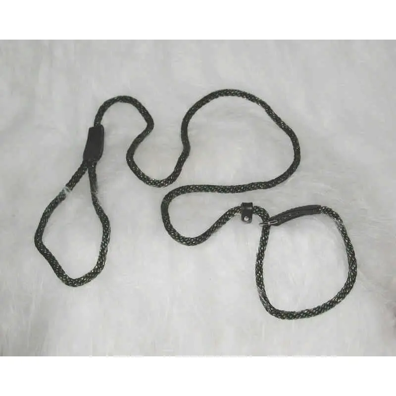 Polyrope Dog Quick Lead Combo 5/16 X6 Green/Tan
