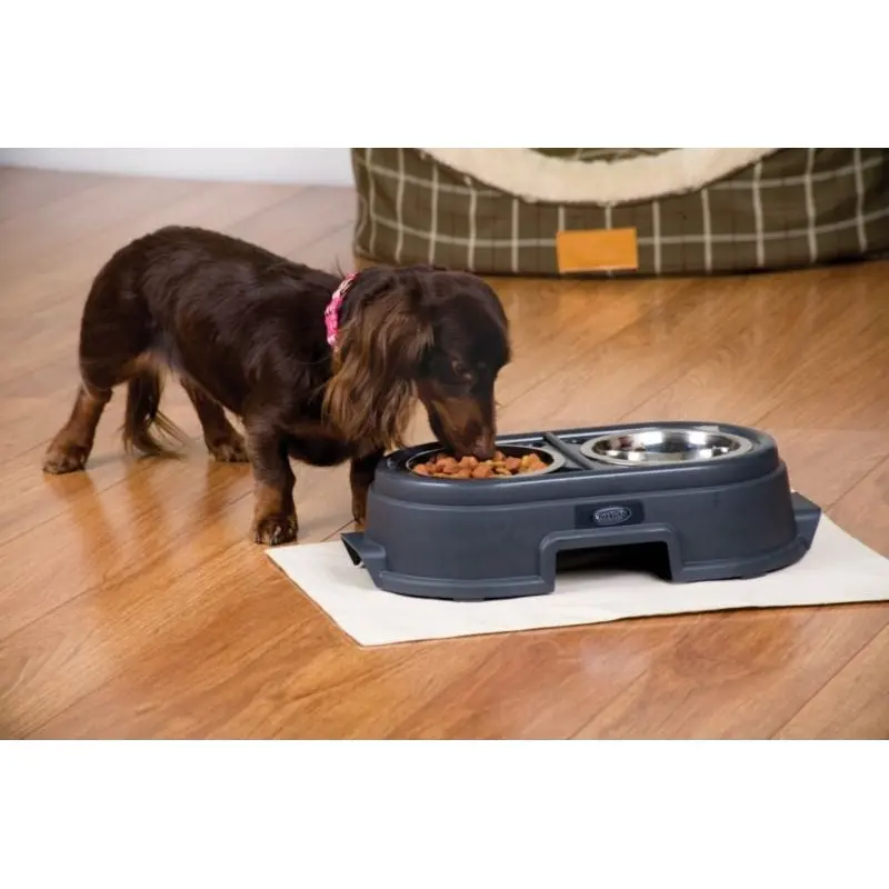 Recycled Plastic Healthy Pet Elevated Feeder