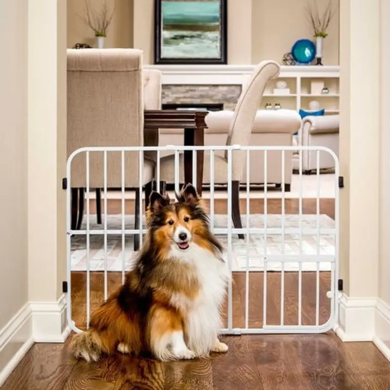 Carlson Pet Tuffy Expandable Gate with Pet Door