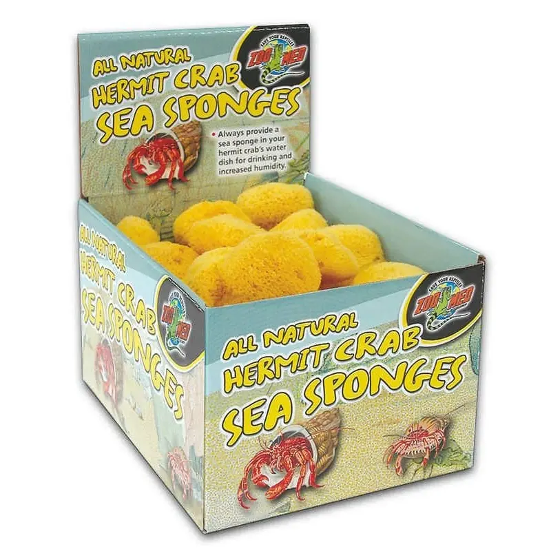 Hermit Crab Sponge 36 piece Natural