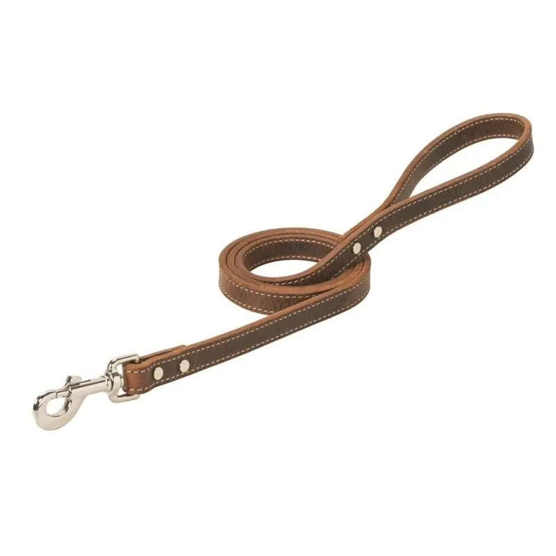 Weaver Crazy Horse Dog Leash 3/4x4 Crazy Horse