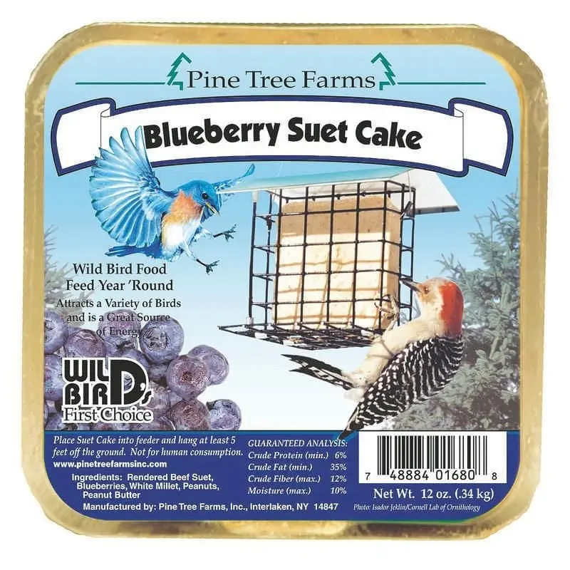 Blueberry Suet Cake 12oz Blueberry