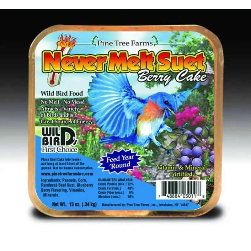 Pine Tree Never Melt Suet Cake 13oz Berry