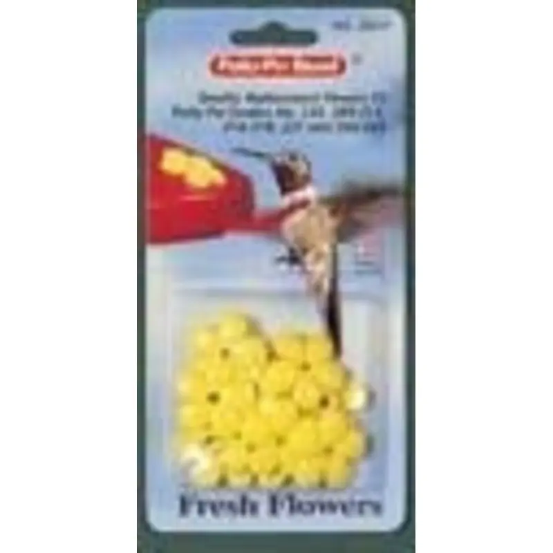 Small Yellow Flowers